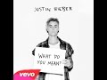 What do you mean?-Justin bieber (speed-up version) lyrics