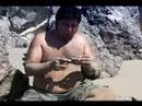 Worlds funniest commercial castaway