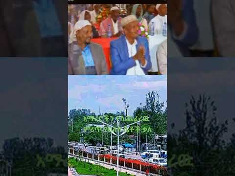 ምሪጥ የሀለባ ሴቶች ቃለ