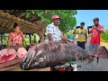 Wow nice the day of village street fisherman worth fish market in sri lanka