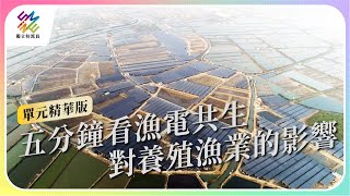 五分鐘看漁電共生對養殖漁業的影響公視 #獨立特派員 單元精華