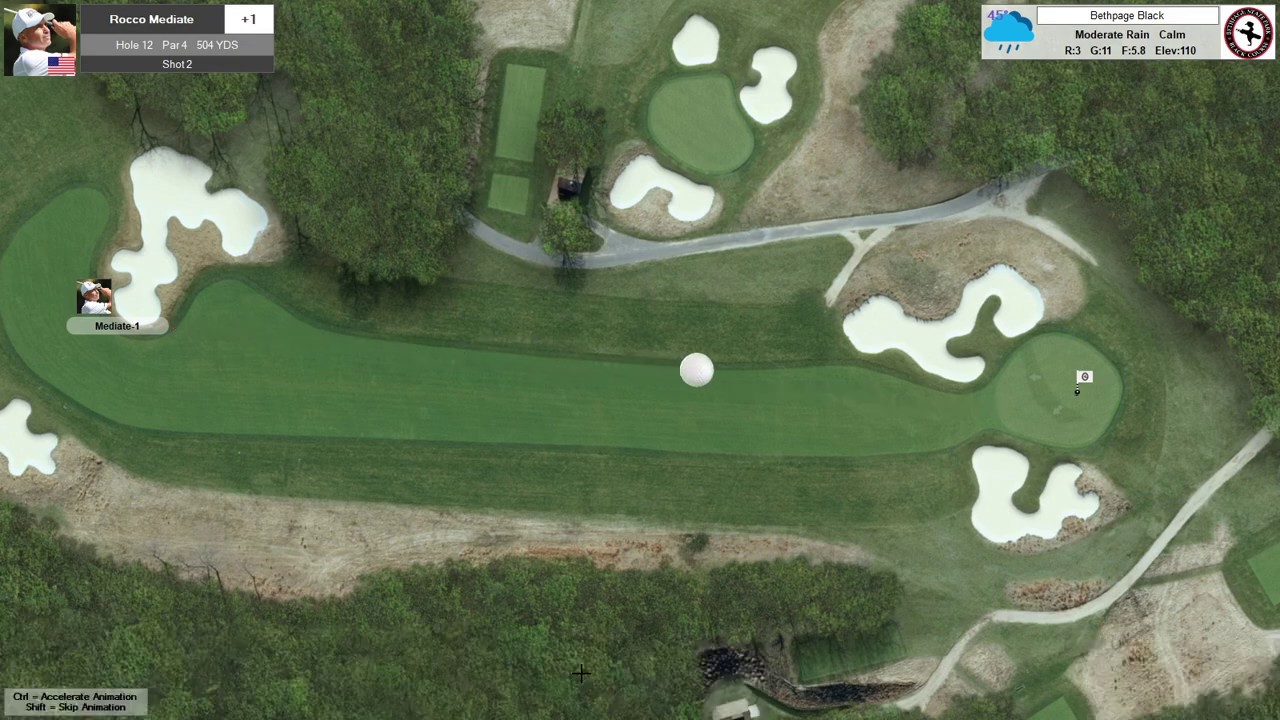 Action! PC Golf 2020: "NY Public"