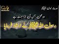 Jannat mein le jany wala amal hadees nabvi   in urdu  hafiz saleem sialvi