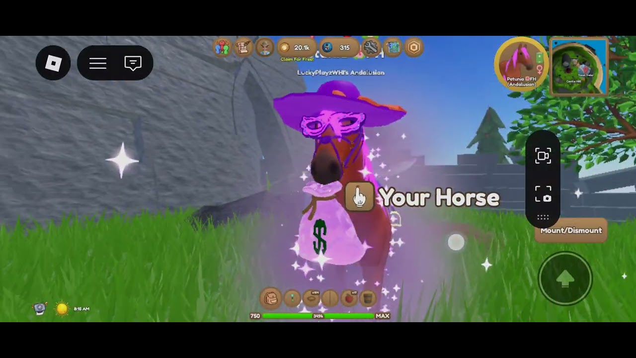 Tack Set Making For 2026