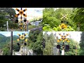 【踏切】色々な秘境踏切 (Railroad crossing in Japan)