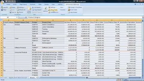 SAP Business ByDesign Analytics -- Managing Financial Performance Overview Video