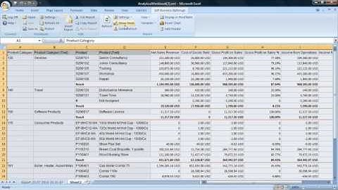 SAP Business ByDesign Analytics -- Managing Financial Performance Overview Video
