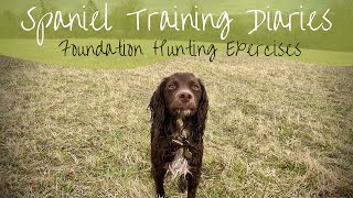 Gundog Training  Foundation Hunting/Quartering Exercises