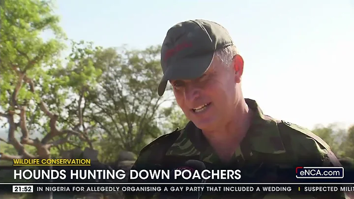 Wildlife Conservation | Hounds hunting down poachers
