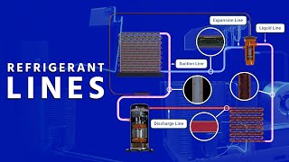 Refrigerant Lines 3D