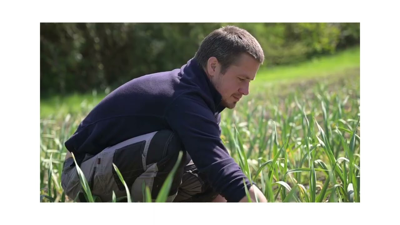La Forestaille: un projet social, économique, culturel et un lieu de vie à connectés à la nature