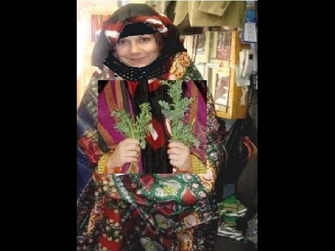 زفة يمنية جديد الفنانة مديحة الحرازي Yemeni Suong