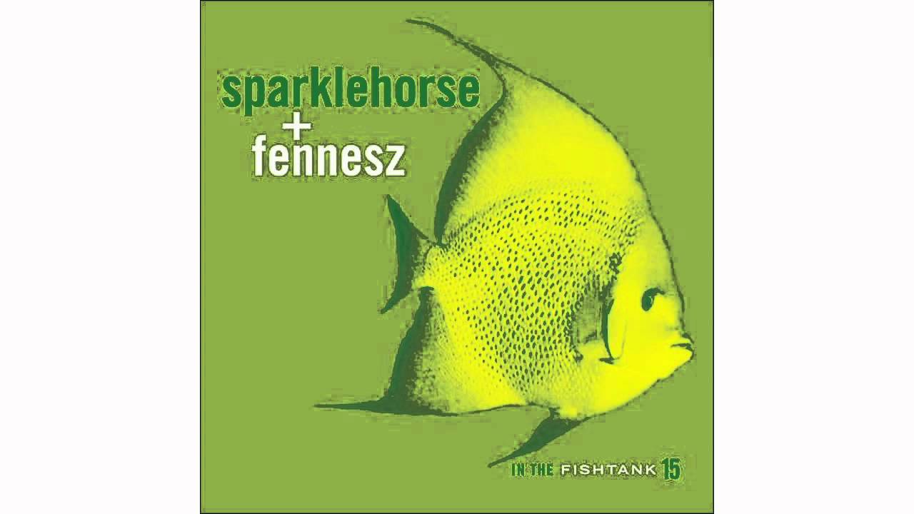 Sparklehorse + Fennesz - If My Heart - In The Fishtank 15 - YouTube