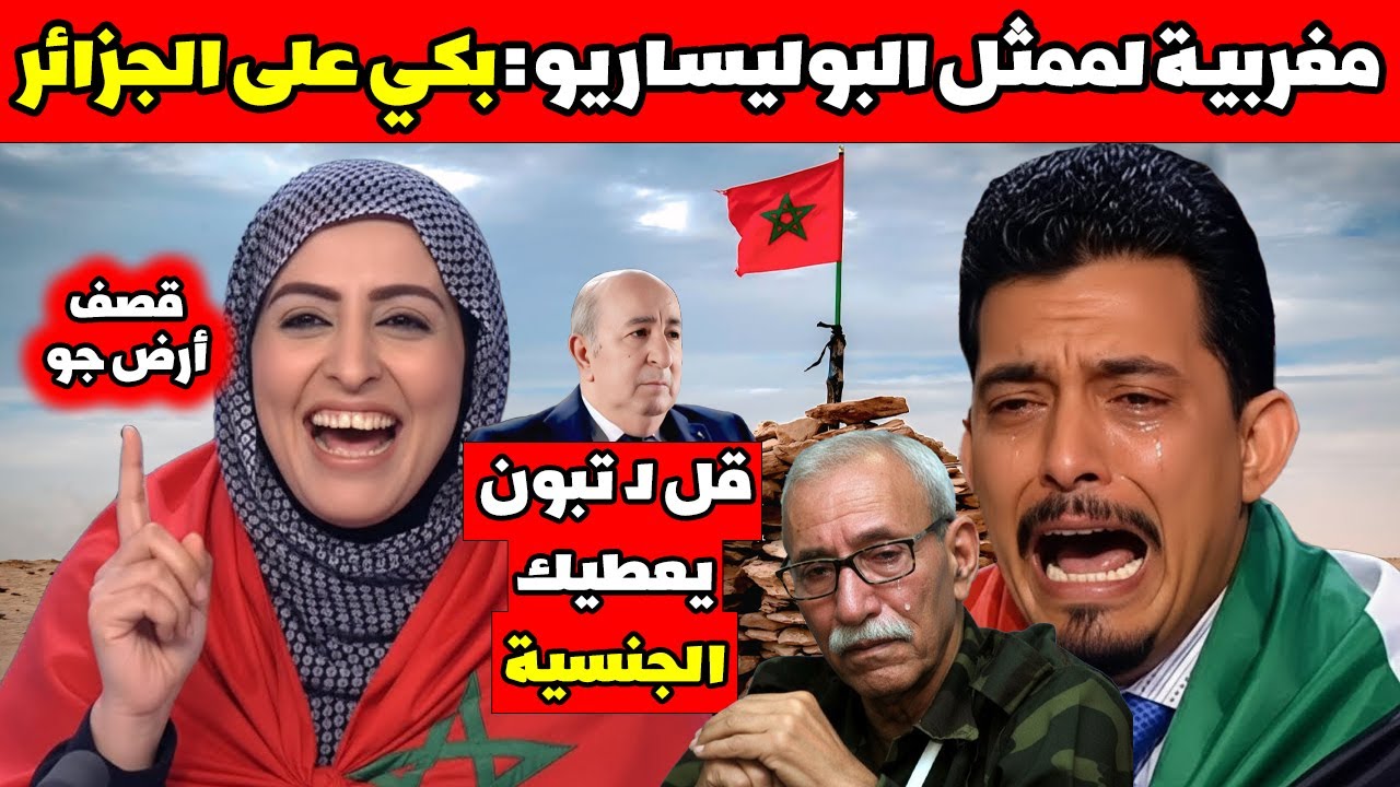 مغربية لممثل جبهة البوليساريو إبكي على الجزائر 🤣