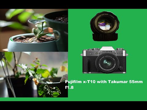 FUJIFILM X-T200本体+ SMC Takumar 55mm F1.8 TAKUMAR 55MM F1.8 WITH FUJI X-T10 * QUICK REVIEW * VINTAGE LENS