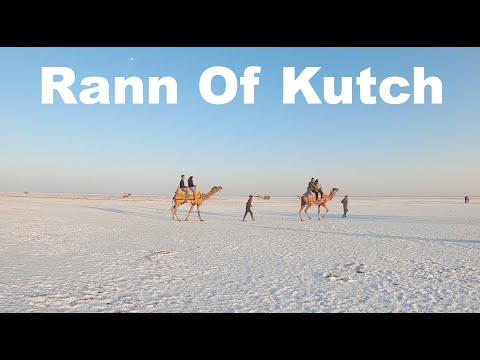 Rann Of Kutch | Kalo Dungar | Homstay In Rann Of Kutch | Gujarat Tourism | Manish Solanki Vlogs