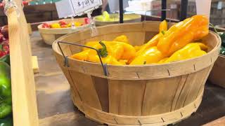 Visiting Lynd Fruit Farm: Apple picking 2025