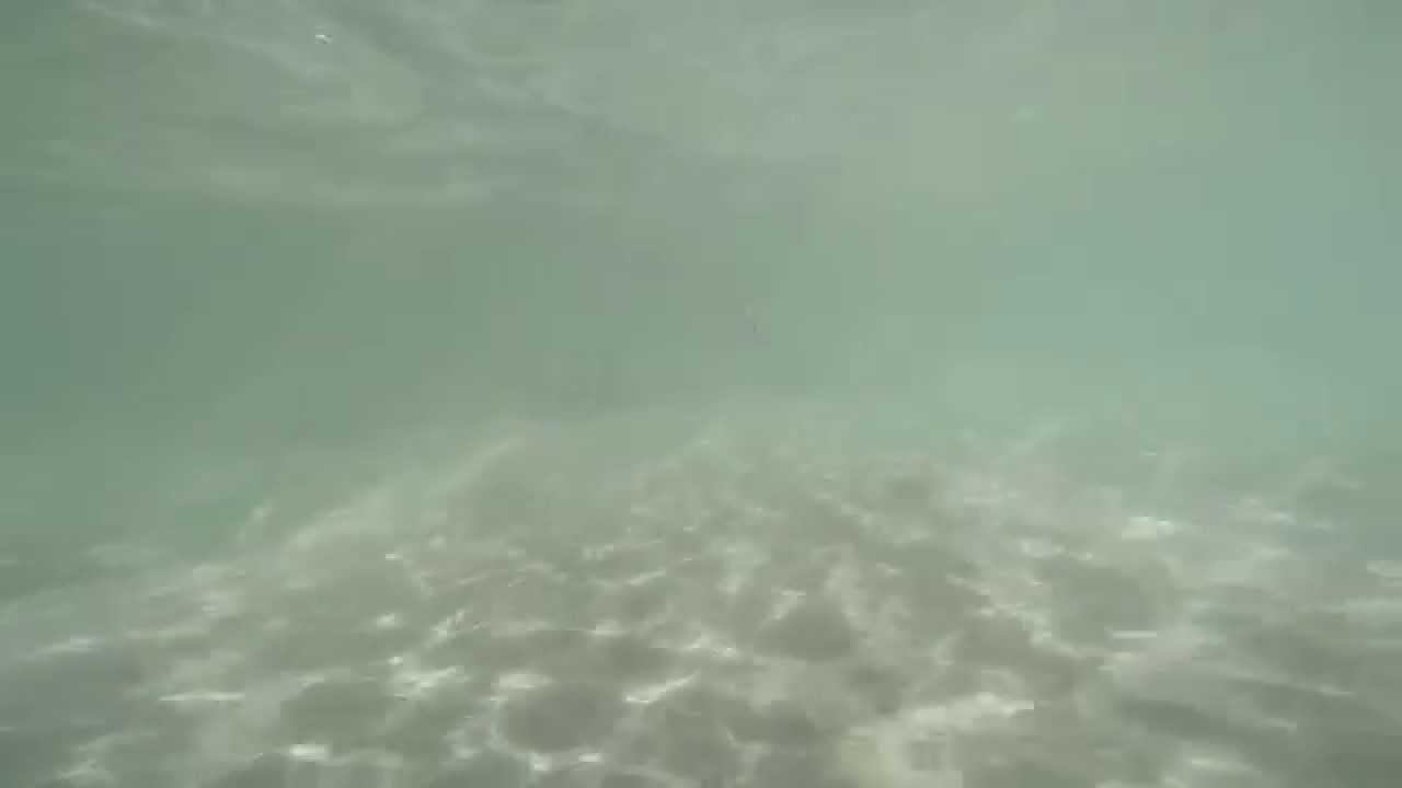 Danza subacquea Torremozza