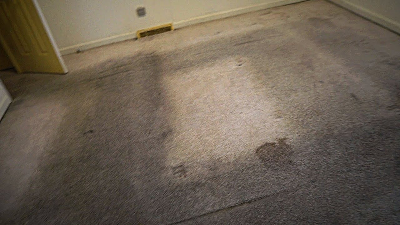 dirty carpet living room