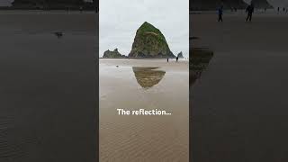 📍Cannon Beach - full video on @HatfieldAndSea #oregon #pnw #beach #ocean #tidepools