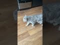Рабочая субота.