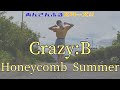 【転校生】Crazy:B//Honeycomb Summer 踊ってみた【あんスタ】