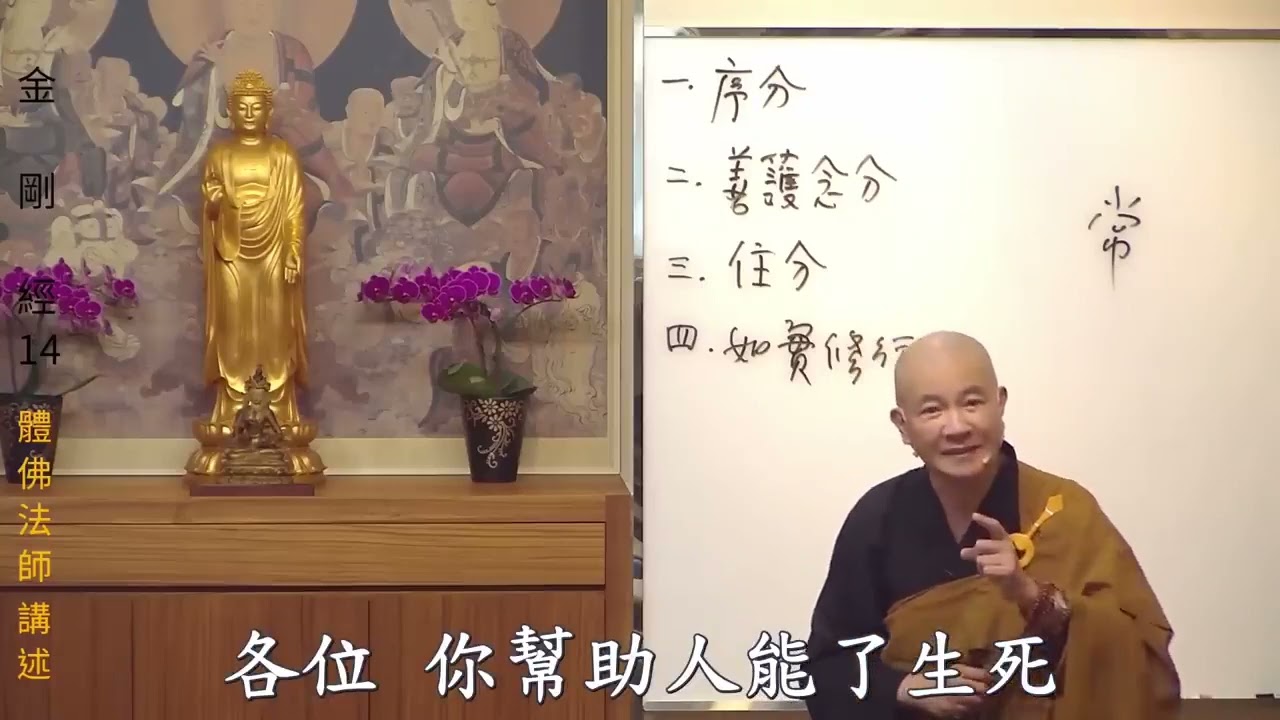 571135-1 體佛法師 金剛經 14 no ads 阿彌陀佛 感恩