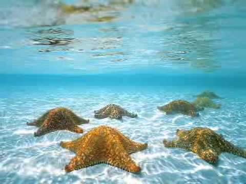 картинки море синее