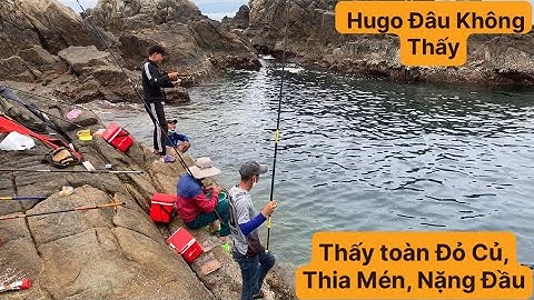 Câu Cá Biển Tự Nhiên, Khém Ông Tùng, Câu Cá Ghềnh Nhơn Lý. TÝ FISHING ( Vietnamese fishing ).