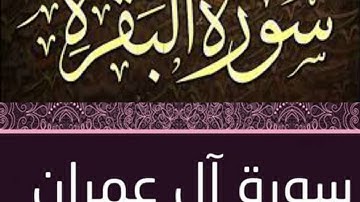 الحزب 5 من سورة البقرة وآل عمران بصوت الشيخ سعد الغامدي