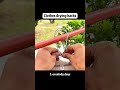 #lifehacks #lifetips #LearnOnTikTok #fyp #foryou