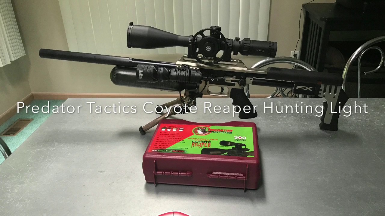 Backyard Pest Control 15 YouTube