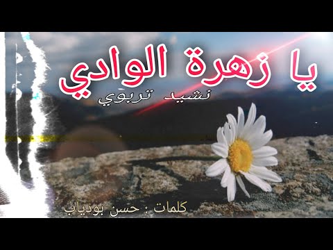 نادي زرقاء اليمامة نشيد تربوي يا زهرة الوادي مع الكلمـــــات للطفولة و الشباب