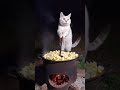 so sweet 💗 #so #sweet #cat #everyone #youtubeshorts