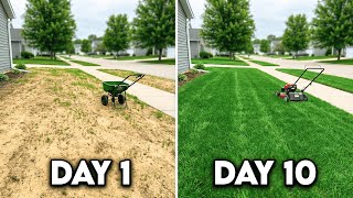 How To Fix a Very Ugly Lawn with Overseeding   Full Masterclass