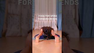 Yoga For Spine | Forward Bends | Yoga for Mobility And Flexibility | Basic Yoga Sequence