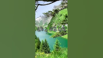 قرآن كريم القارئ عبدالباسط من سورة (الضحى)