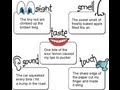 Human Sensory System Functions