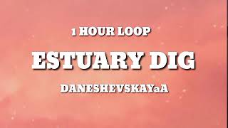 Daneshevskaya - Estuary Dig (1 HOUR LOOP)