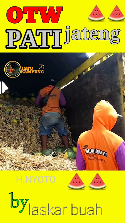 OTW PATI jawa tengah #sawah #petani #semangka