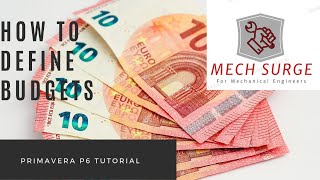 How to establish a budget in Primavera P6?