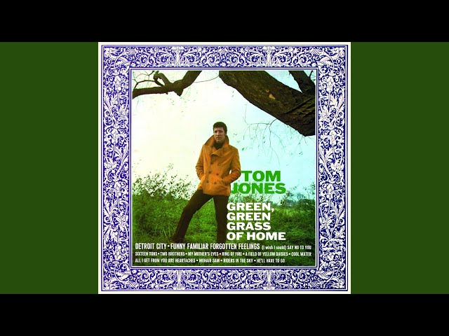 Tom Jones - Green Green Grass Of Home