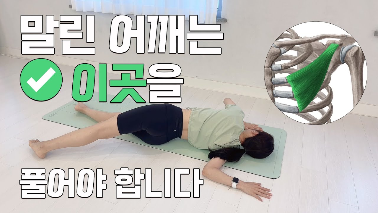 하루 1분만 이 스트레칭을 해보세요. [라운드 숄더, 팔저림, 등근육 깨우기]