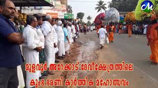 Video Download