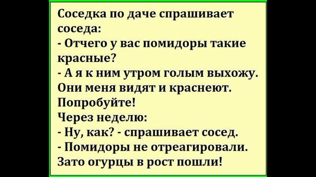 Русский сосед пришел к русской соседки. Анекдоты. Анекдот. Смешные анекдоты. Прикольные анекдоты.