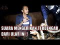 ULAR INI KELUARKAN SUARA ANEH SAAT DI RESCUE ! A OPIK TAKUT