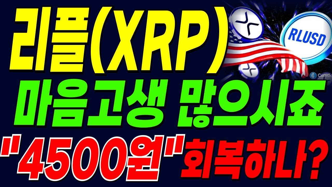 엑스알피 리플 코인] 마음고생 많으시죠 