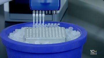 Single Cell Gene Expression Protocol v3.1 | Transfer GEMs