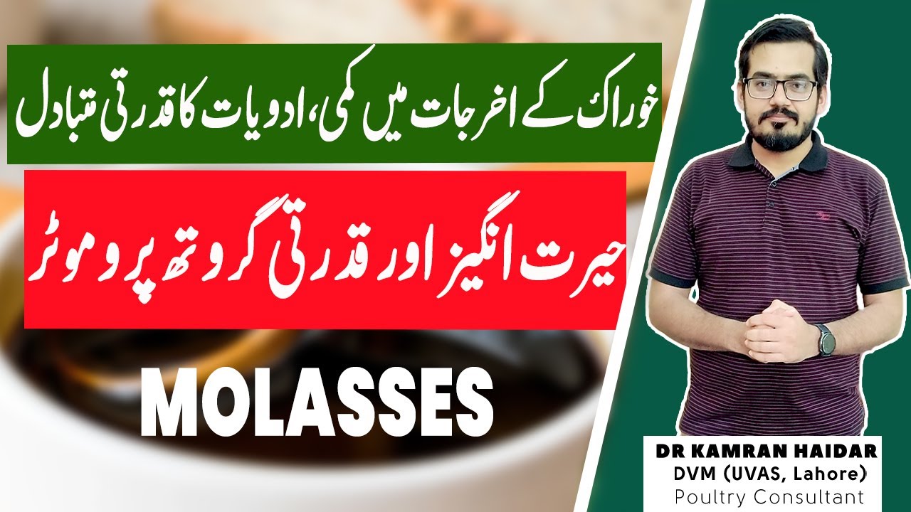 Molasses for Chickens & Birds Benefits of Molasses A Natural Immune