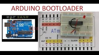 Arduino BOOTLOADER on ATMEGA328 IC